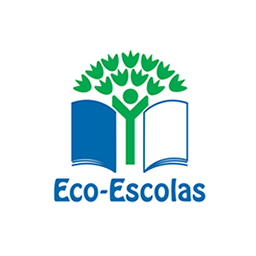 1ºano de participação