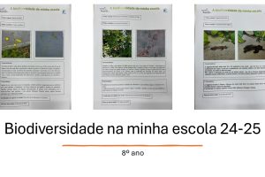 Biodiversidade na minha escola 1-images-2