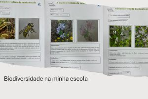 Biodiversidade na minha escola 1-images-3
