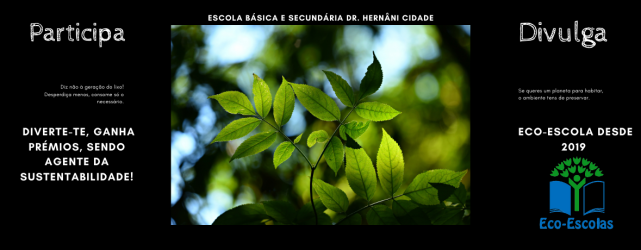 Ecoescolas Pag Escola