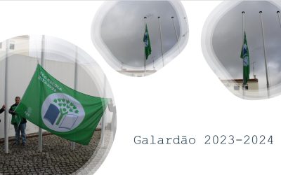 GalardaoDiaEcoEscola25