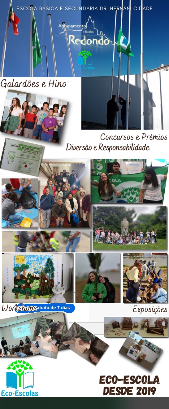 roolupEcoEscolas